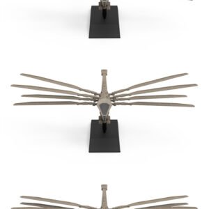 DUNE – Atreides Ornithopter Model Kit